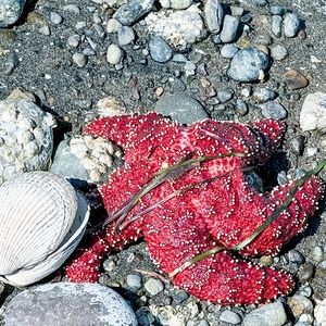 Meet your Posher, Steph